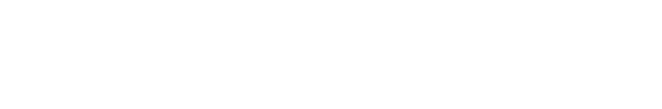 Valisea